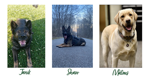 K9s Janik, Shaw, and Matous
