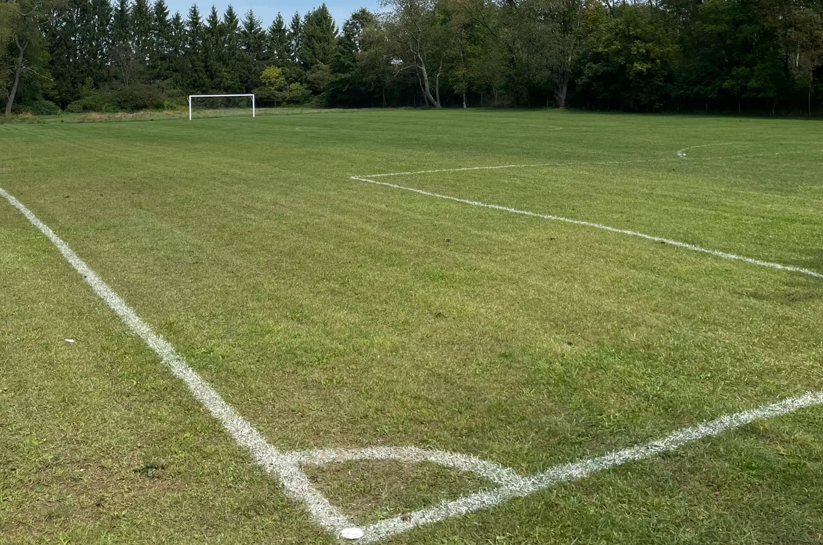 Fishild Field Athletic Fields | City of Kent