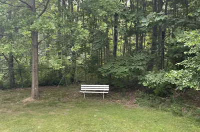 artemis park bench